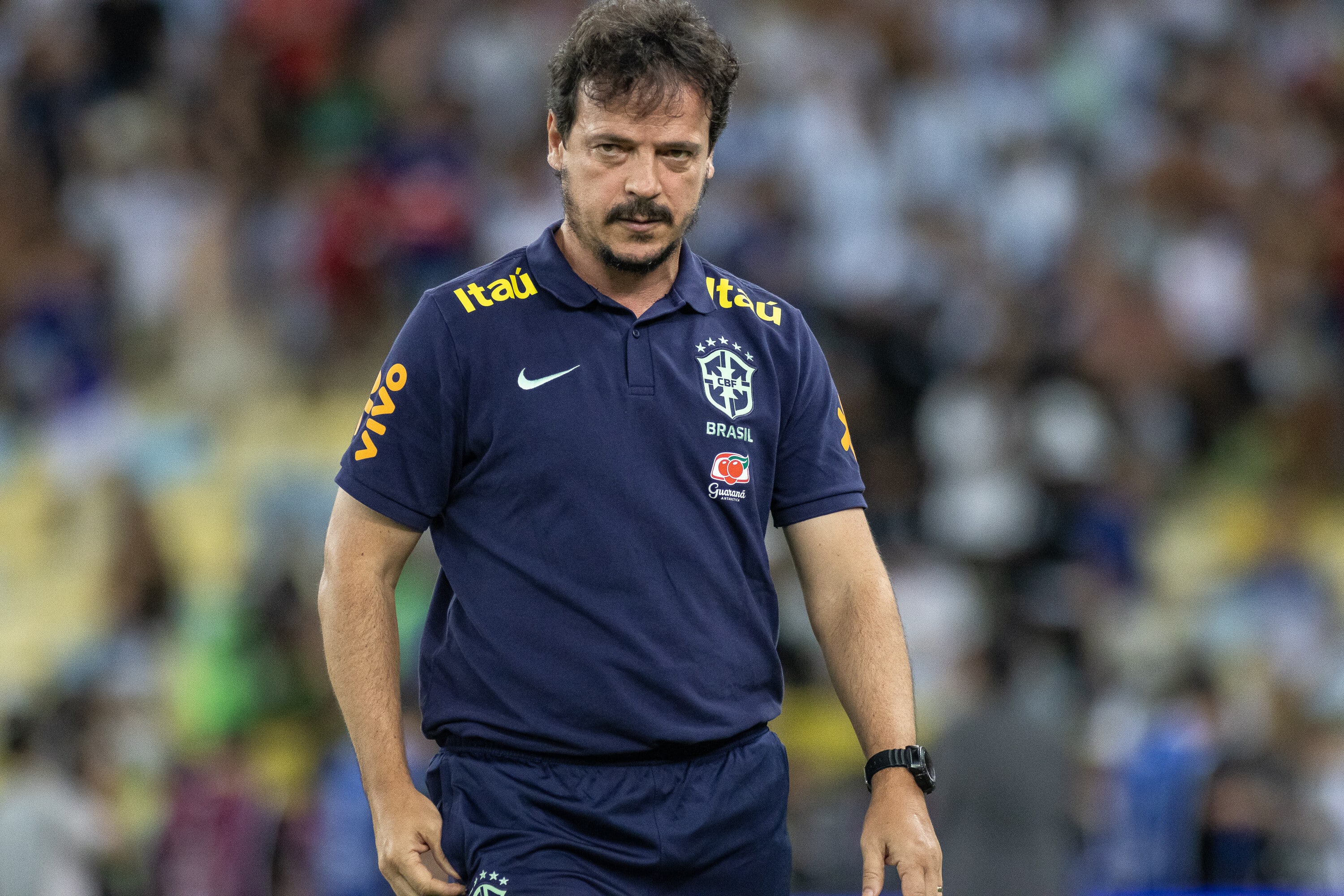 Fernando Diniz tem apenas 38% de aproveitamento na Sele&ccedil;&atilde;o desde que assumiu como interino - Foto: Icon sport