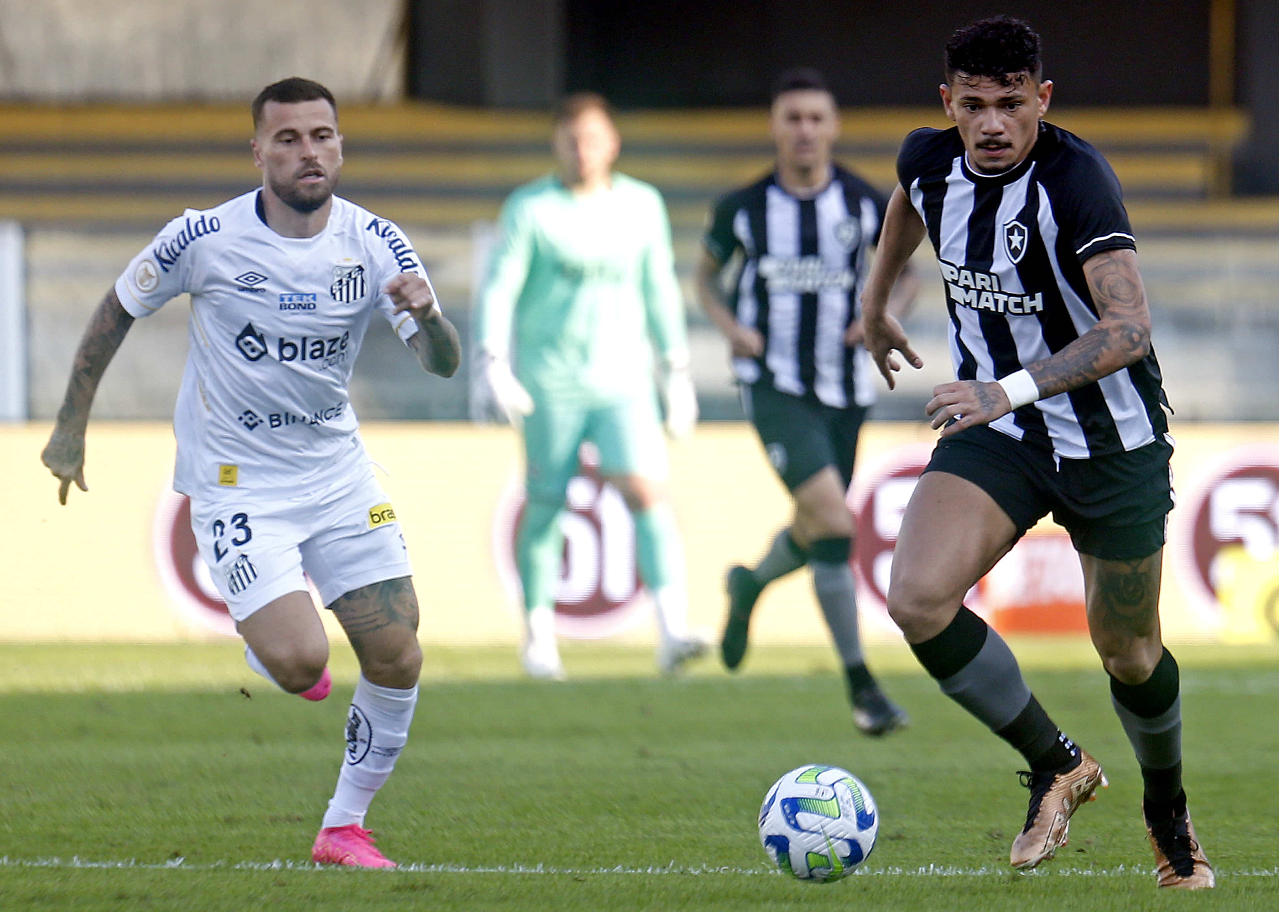 Botafogo x Santos: onde assistir, palpites e escala&ccedil;&otilde;es &ndash; Campeonato Brasileiro &ndash; 26/11/2023