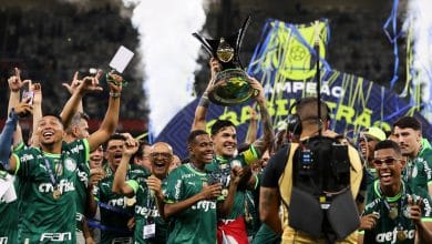 Virada heroica do Brasileir&atilde;o de 2023 ser&aacute; contada por palmeirenses a descendentes por d&eacute;cadas