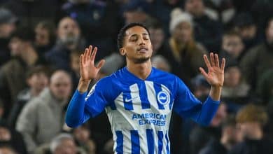 De Zerbi admite medo de perder Jo&atilde;o Pedro: &lsquo;Espero trabalhar com ele no ano que vem&rsquo;