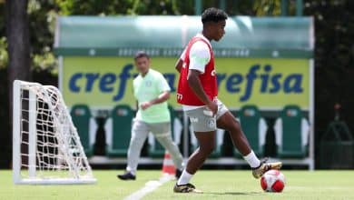 Palmeiras come&ccedil;a, contra o S&atilde;o Bernardo, a turn&ecirc; de despedida de Endrick: estimativa &eacute; de poucos jogos