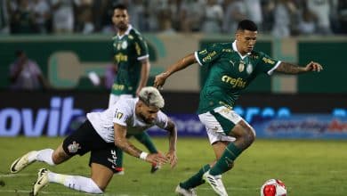 Gustavo G&oacute;mez ficar&aacute; fora do Palmeiras por tempo indeterminado, mas n&uacute;meros mostram Naves pronto