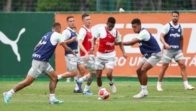 Palmeiras n&atilde;o usa Paulist&atilde;o como vitrine, e jovens ganham pouco espa&ccedil;o para se mostrar