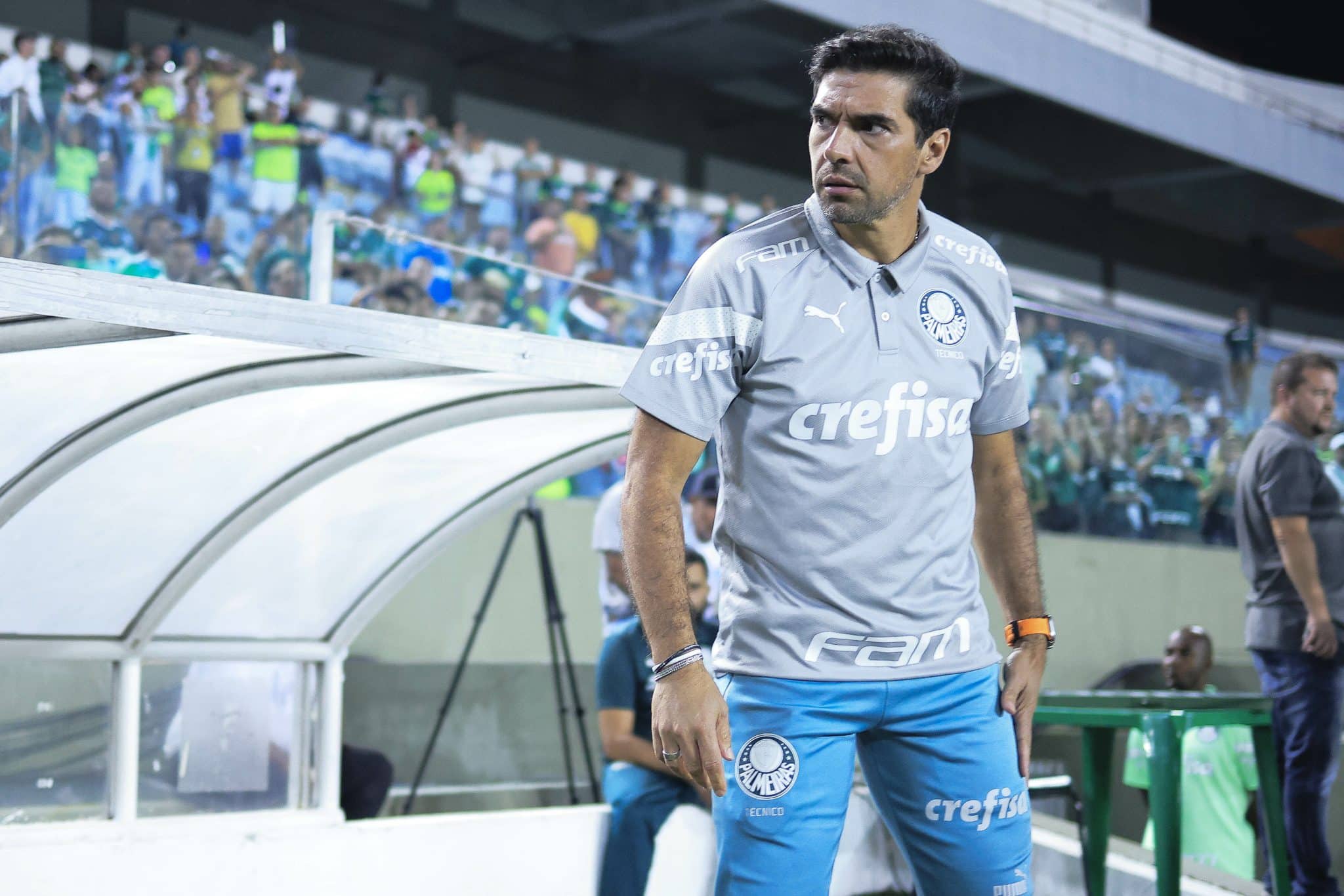 O &lsquo;Pardal e o Bagre&rsquo;: o palmeirense precisa reaprender que a derrota faz parte do futebol