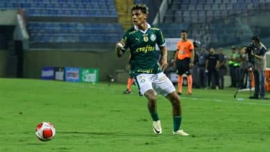 A culpa n&atilde;o &eacute; de Leila: por que o Palmeiras n&atilde;o vai deixar Barueri?