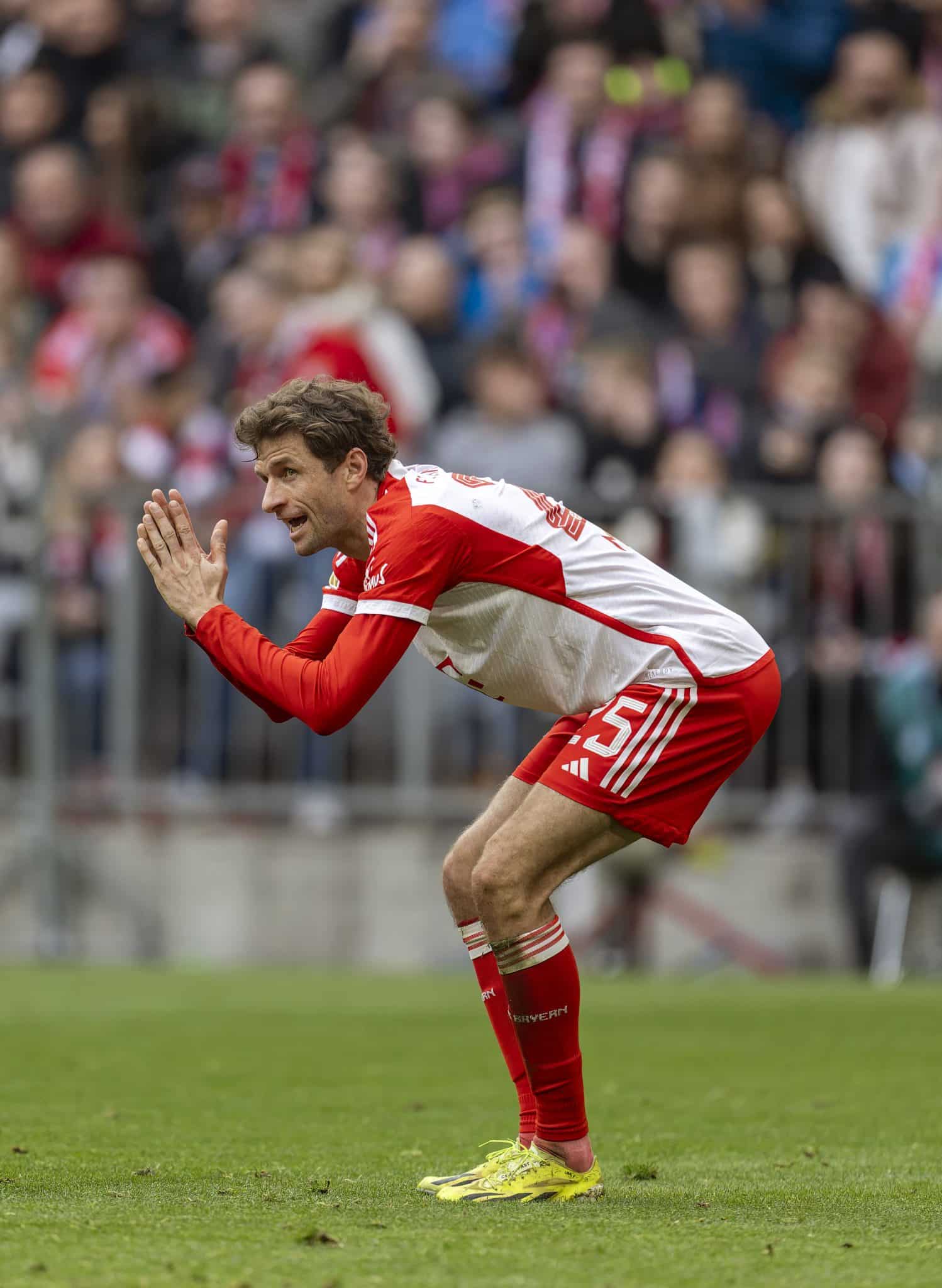 Massacre ou massacre: Bayern n&atilde;o pode deixar de golear o p&eacute;ssimo Darmstadt