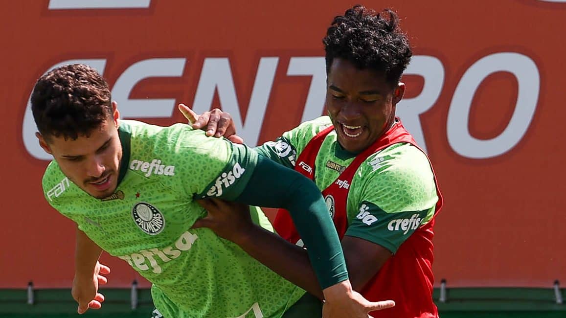 Estreia no Campeonato Brasileiro &eacute; primeiro e &uacute;ltimo respiro do Palmeiras no m&ecirc;s