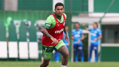 Dudu trabalha com bola, e Palmeiras j&aacute; vislumbra data para retorno do &iacute;dolo