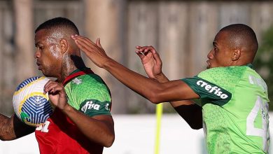 O Palmeiras vai passar por uma renova&ccedil;&atilde;o no elenco? O que sabemos