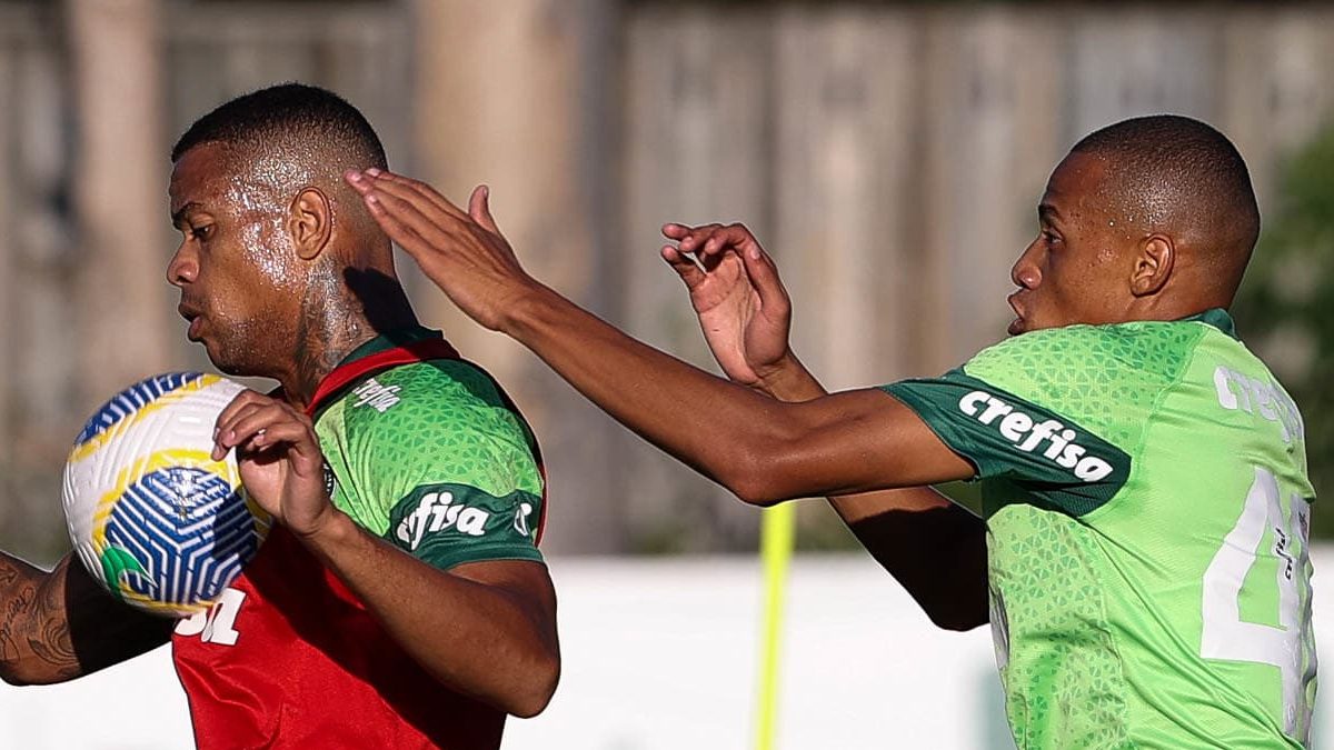 O Palmeiras vai passar por uma renova&ccedil;&atilde;o no elenco? O que sabemos