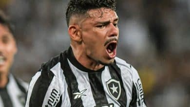 Quem s&atilde;o os maiores artilheiros do Botafogo no Campeonato Brasileiro?
