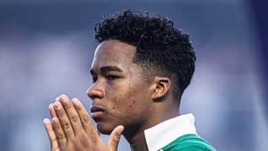 Tend&ecirc;ncia &eacute; o torcedor do Palmeiras ter ainda menos Endrick do que se imaginava