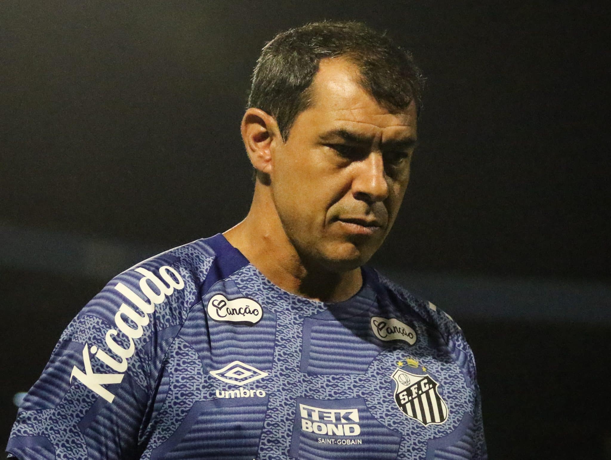 Vit&oacute;ria sobre o Ava&iacute; faz Carille admitir o forte favoritismo do Santos na S&eacute;rie B