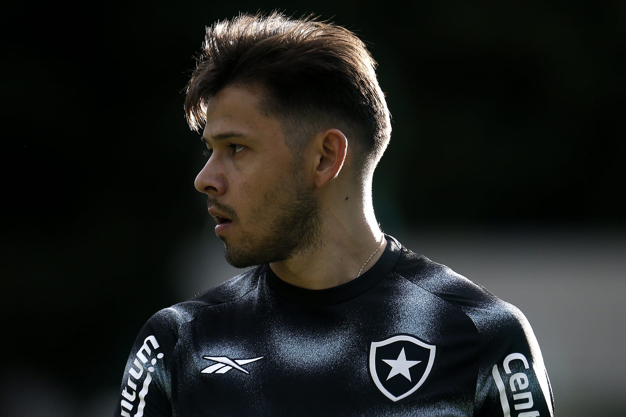 Botafogo afasta Romero e Hern&aacute;ndez por indisciplina, e reintegra volante ao elenco