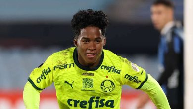 Abel exalta grupo do Palmeiras, recha&ccedil;a chegada de Rodr&iacute;guez e defende Endrick