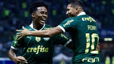Palmeiras, um time que n&atilde;o sabe desistir, bate o Botafogo-SP com gol no &uacute;ltimo lance