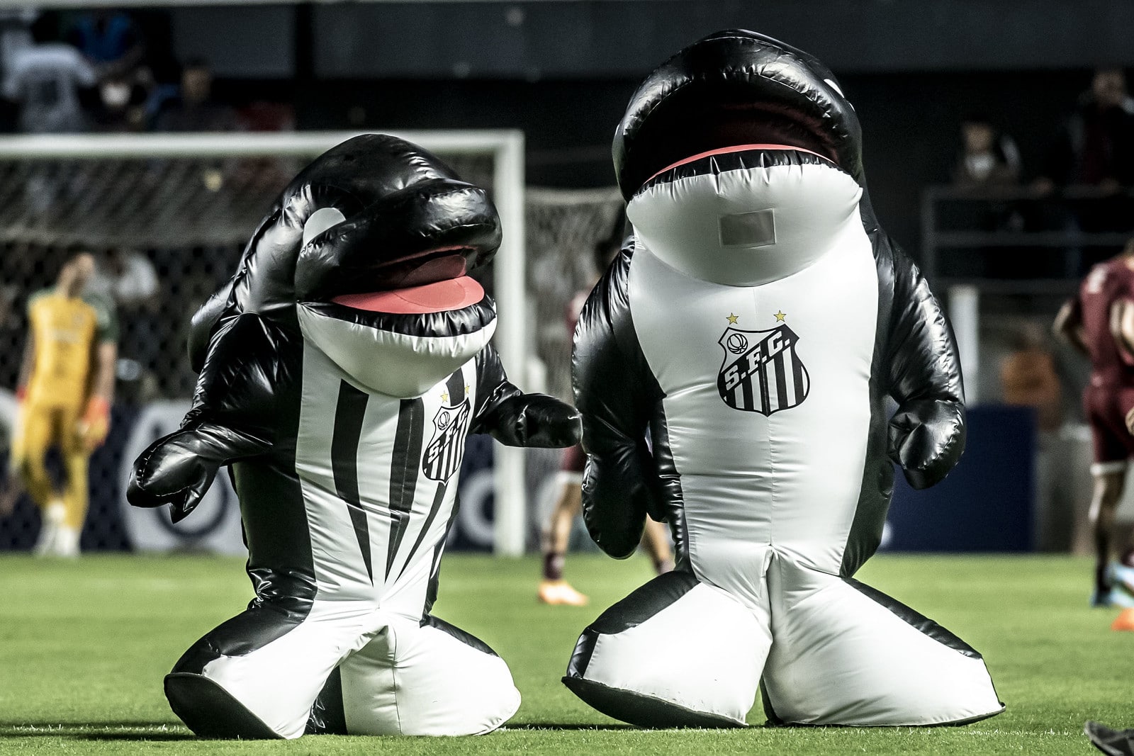 Relat&oacute;rios do Santos revelam quanto ganham Balei&atilde;o e Baleinha, s&iacute;mbolos do clube