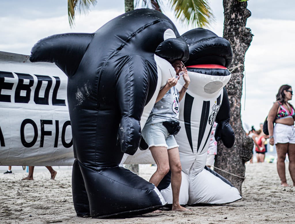 Balei&atilde;o e Baleinha na praia