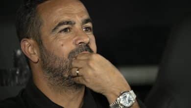 Palmeiras ser&aacute; pedra no sapato do Botafogo nas oitavas de final da Libertadores