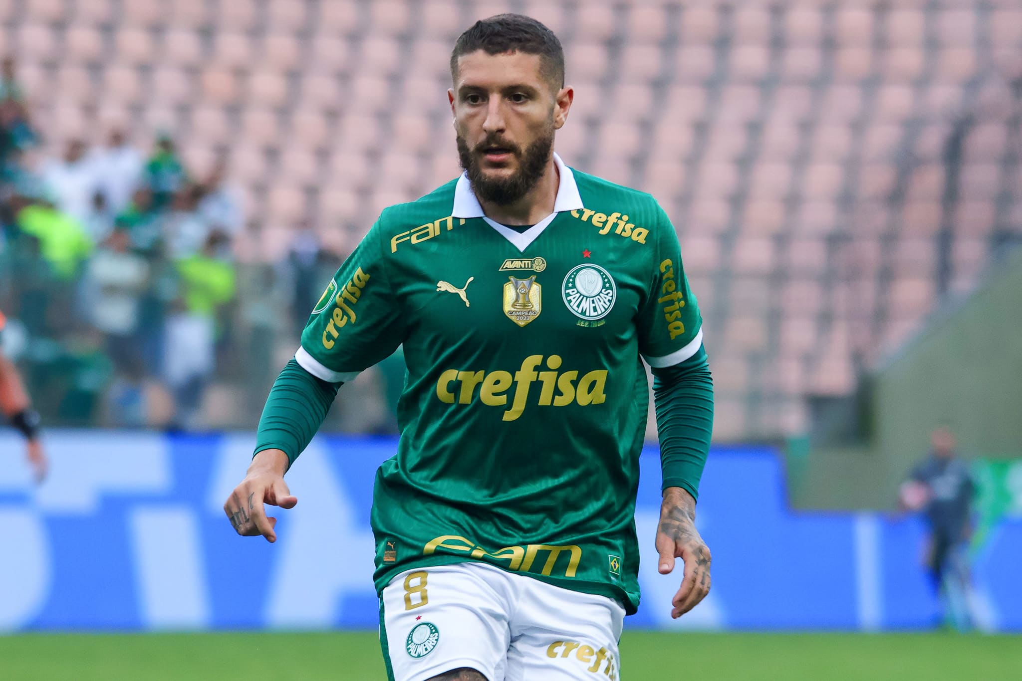 Z&eacute; Rafael, durante jogo do Palmeiras