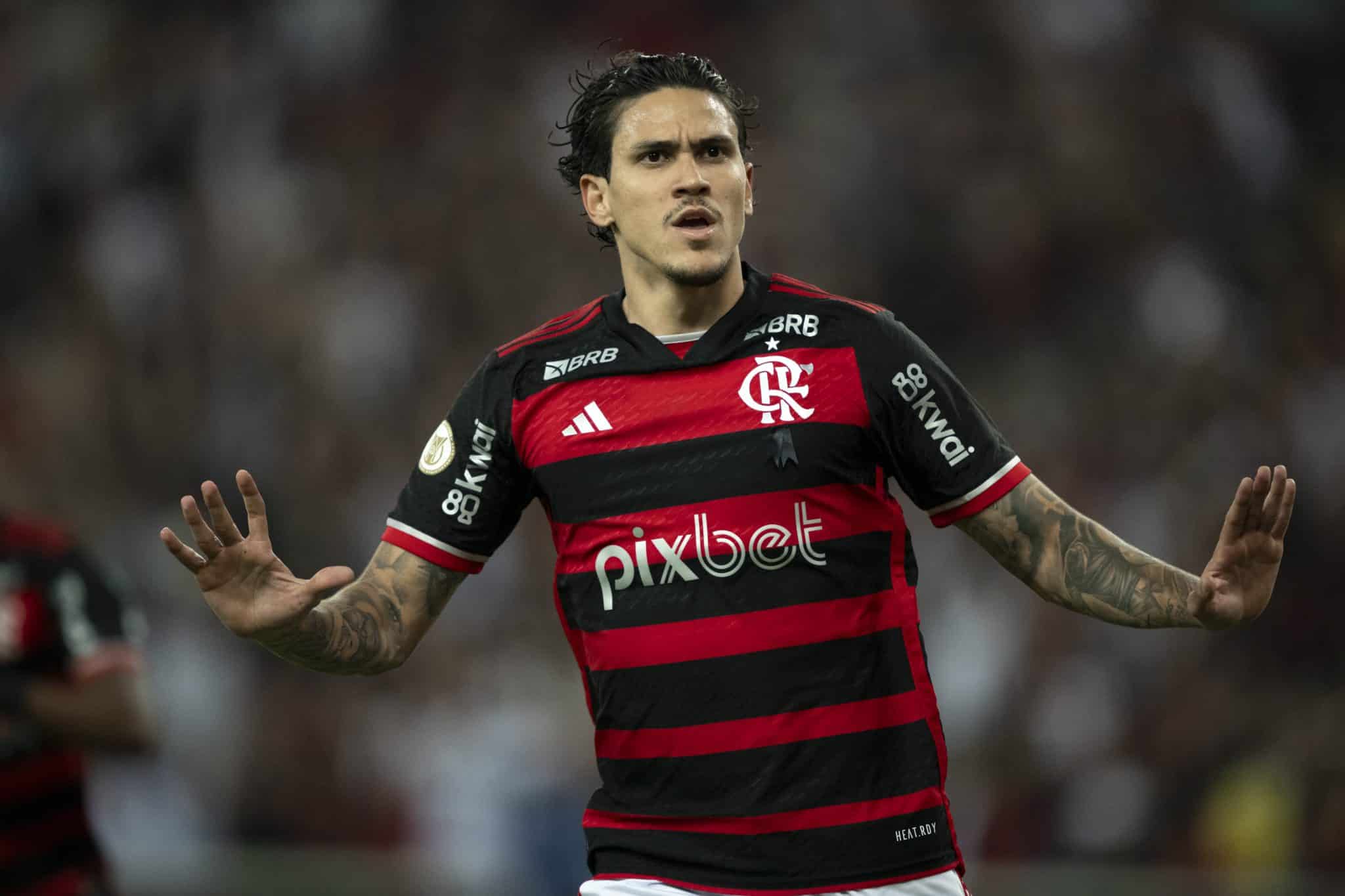 Flamengo tem que agradecer que sele&ccedil;&atilde;o &lsquo;esqueceu&rsquo; Pedro e Fabr&iacute;cio Bruno