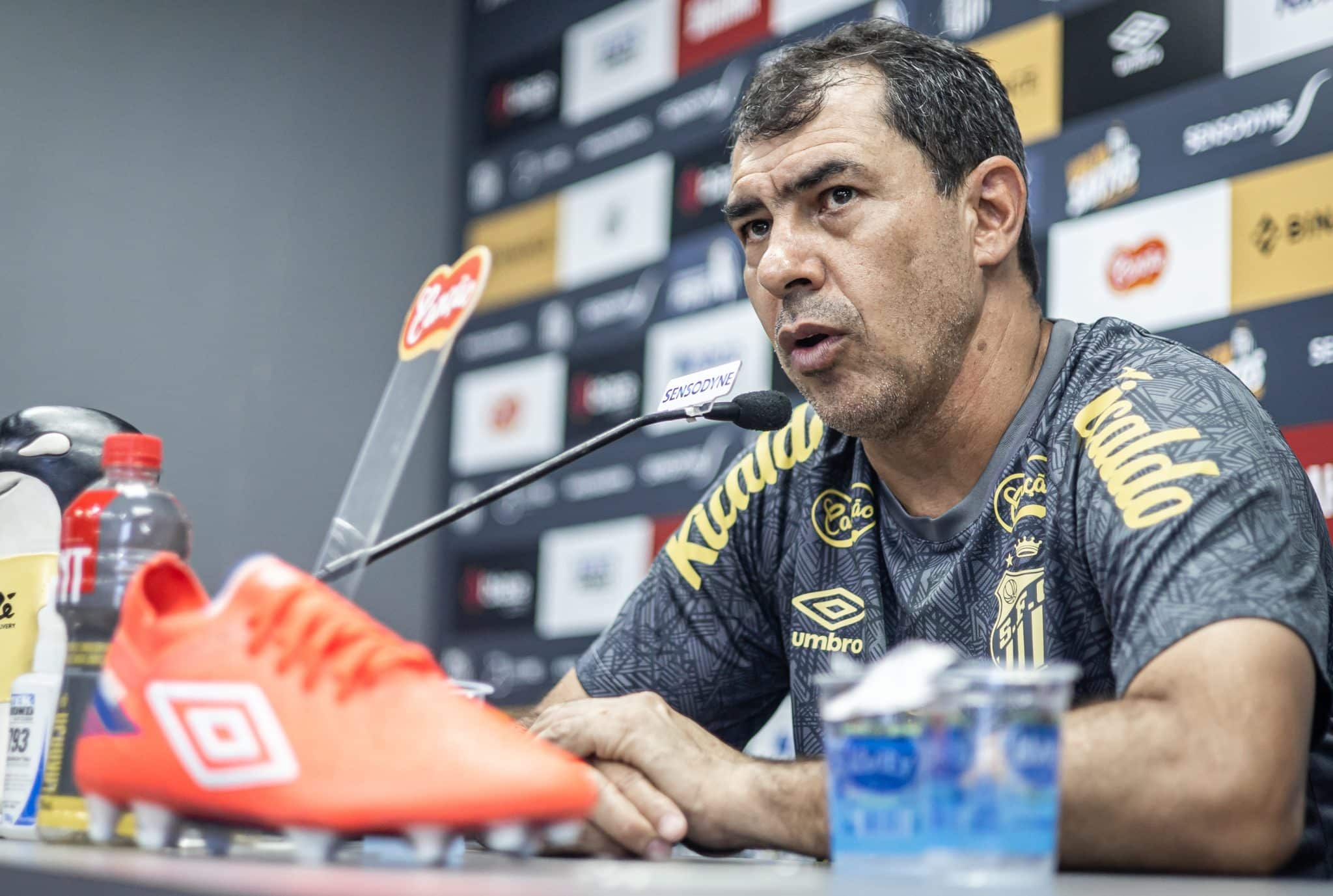 Santos ou Corinthians: Carille d&aacute; resposta estranha sobre futuro ap&oacute;s vit&oacute;ria na S&eacute;rie B