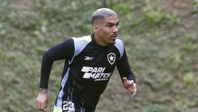 Botafogo pode contar com refor&ccedil;os para a importante partida contra o Palmeiras