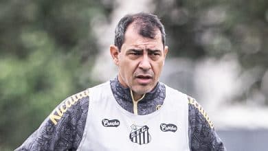 Quais as posi&ccedil;&otilde;es dos cinco refor&ccedil;os desejados por Carille no Santos?