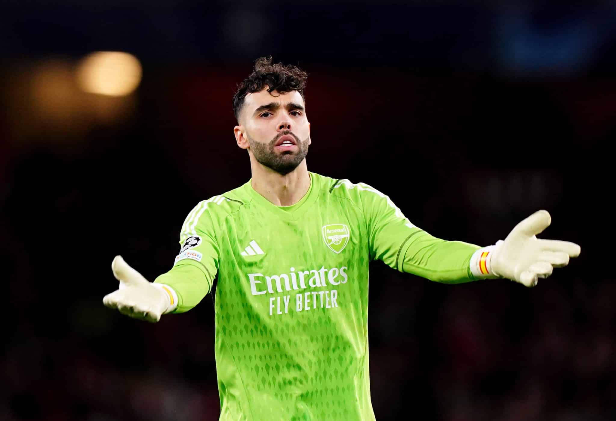 Arsenal quer contratar goleiro da Premier League para ser sombra de Raya