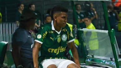 Preju&iacute;zo &eacute; total: Mais do que o jogo, Palmeiras perde Est&ecirc;v&atilde;o diante do Vit&oacute;ria