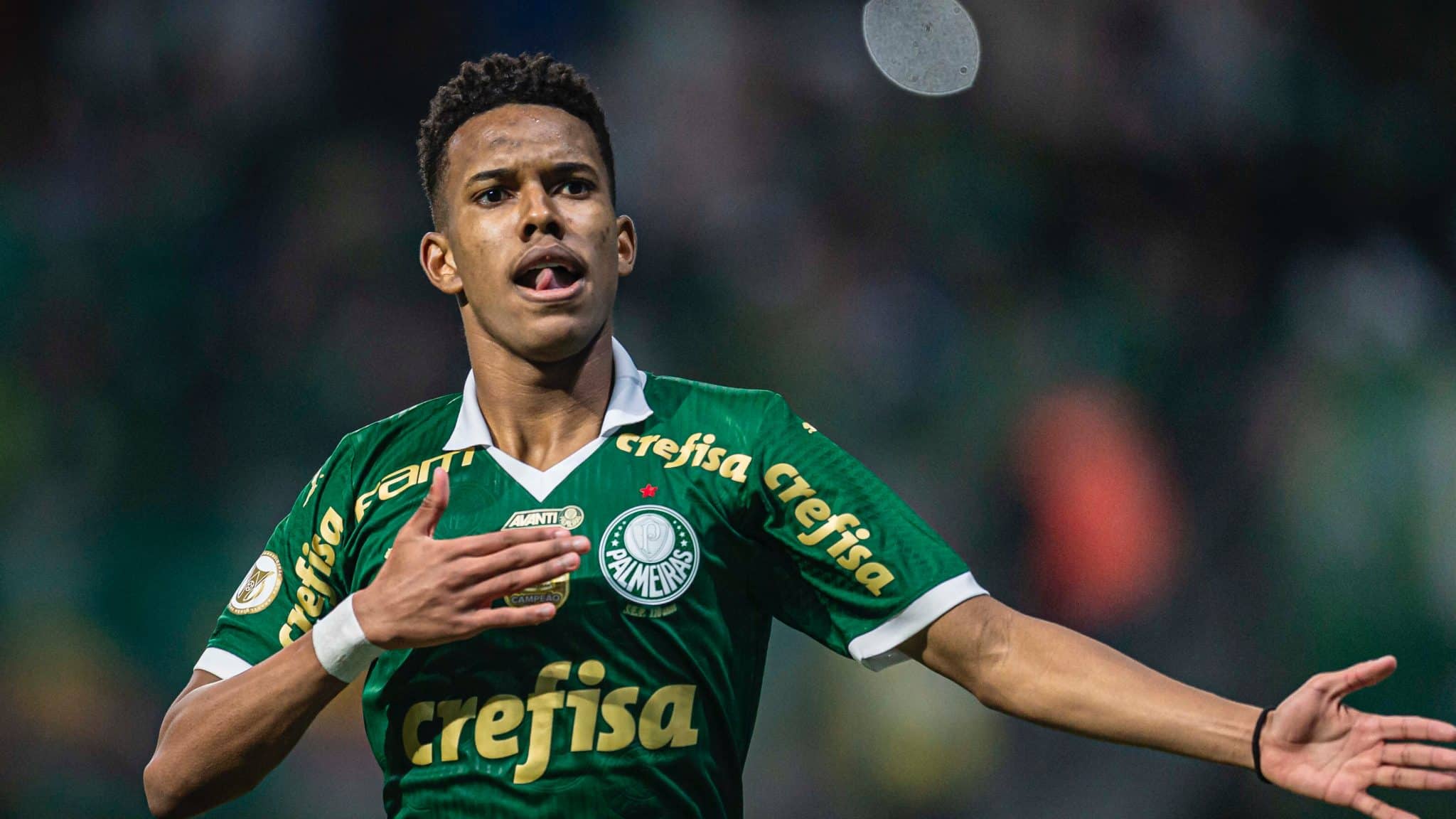 Est&ecirc;v&atilde;o Willian comemora gol marcado pelo Palmeiras no Campeonato Brasileiro