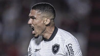 Nem destaque da Copa de 2014 freia Botafogo, que goleia mostrando for&ccedil;a do elenco