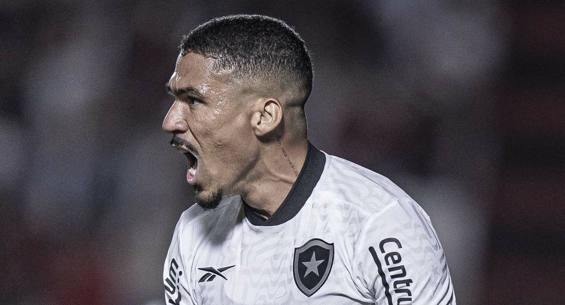 Nem destaque da Copa de 2014 freia Botafogo, que goleia mostrando for&ccedil;a do elenco