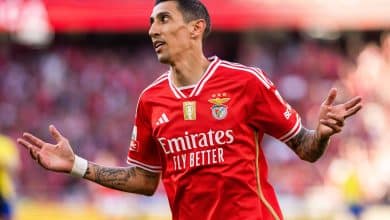 Ex-Botafogo &eacute; favorito para assumir Benfica em crise e sem t&eacute;cnico ap&oacute;s demiss&atilde;o precoce