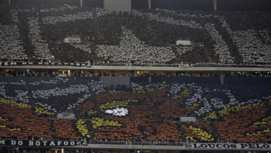Como a torcida do Botafogo inovou com mosaico duplo no Nilton Santos