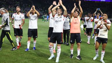 Classifica&ccedil;&atilde;o do tamanho do sufoco: Flamengo sai do seu estilo para eliminar o Palmeiras