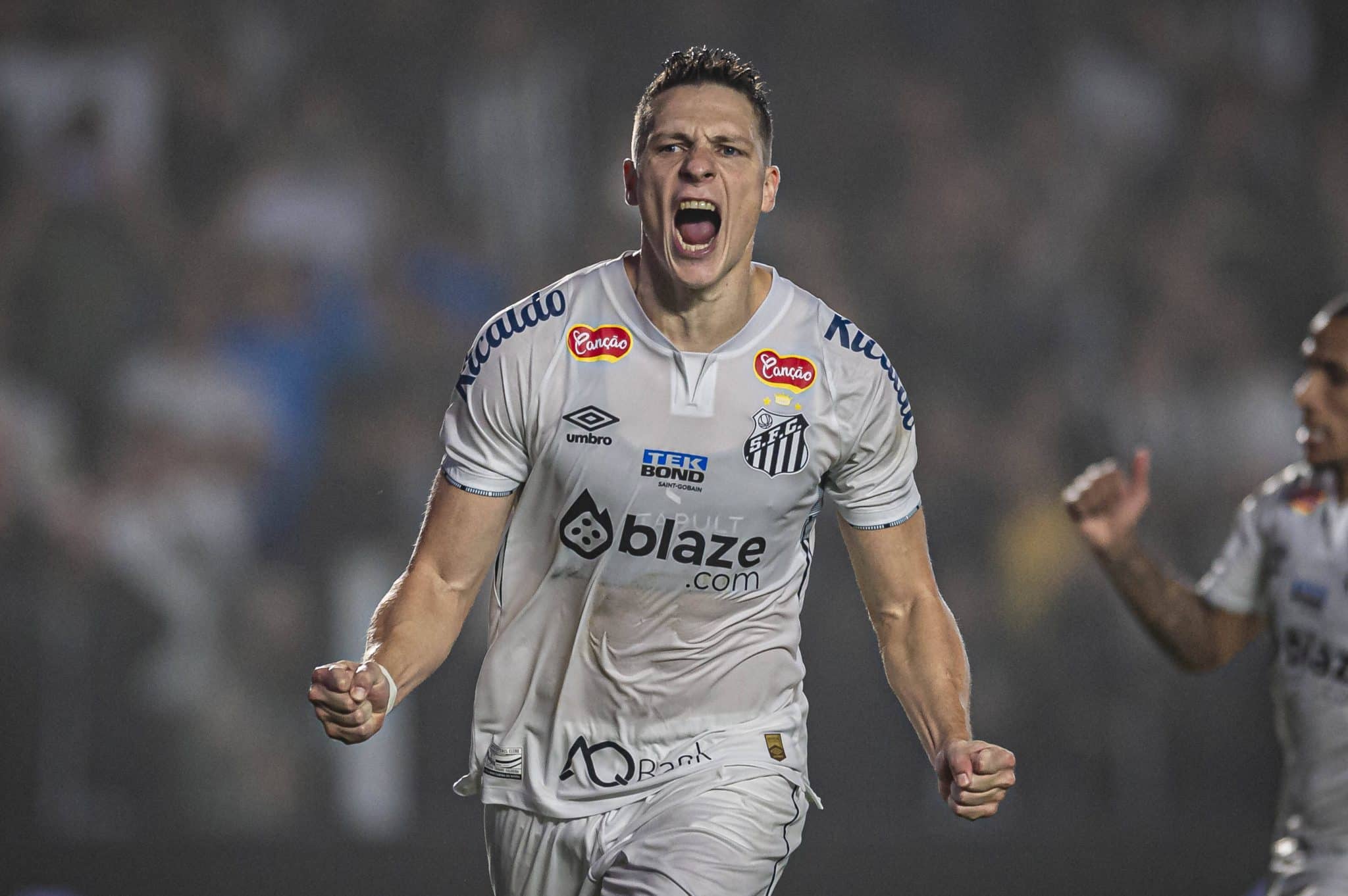 Furch comemora gol pelo Santos na S&eacute;rie B (Foto: Imago)