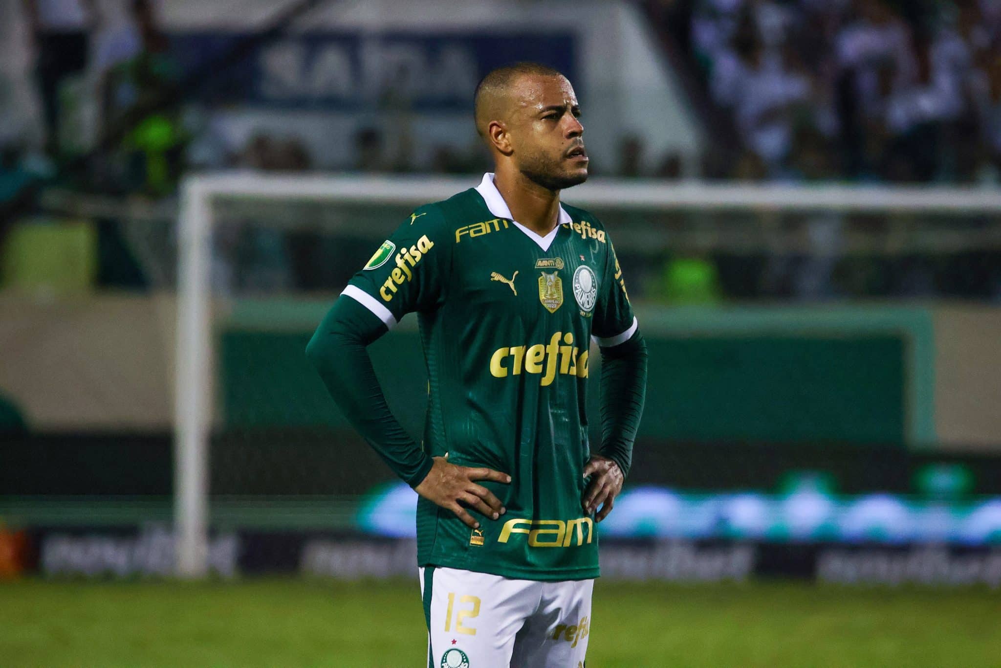 Por que o Palmeiras precisa de Mayke para ter chances de t&iacute;tulo no Brasileir&atilde;o