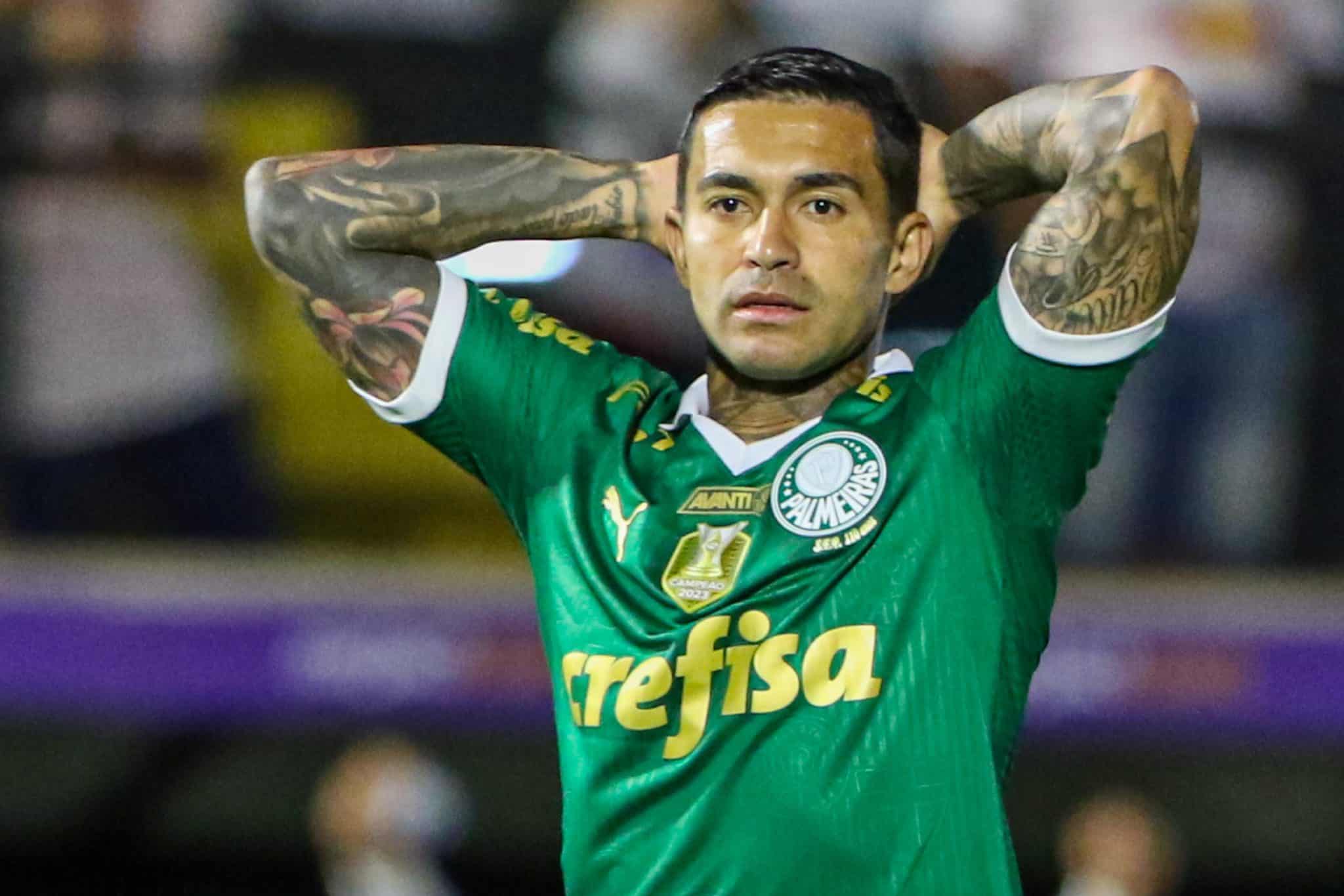 dudu do palmeiras