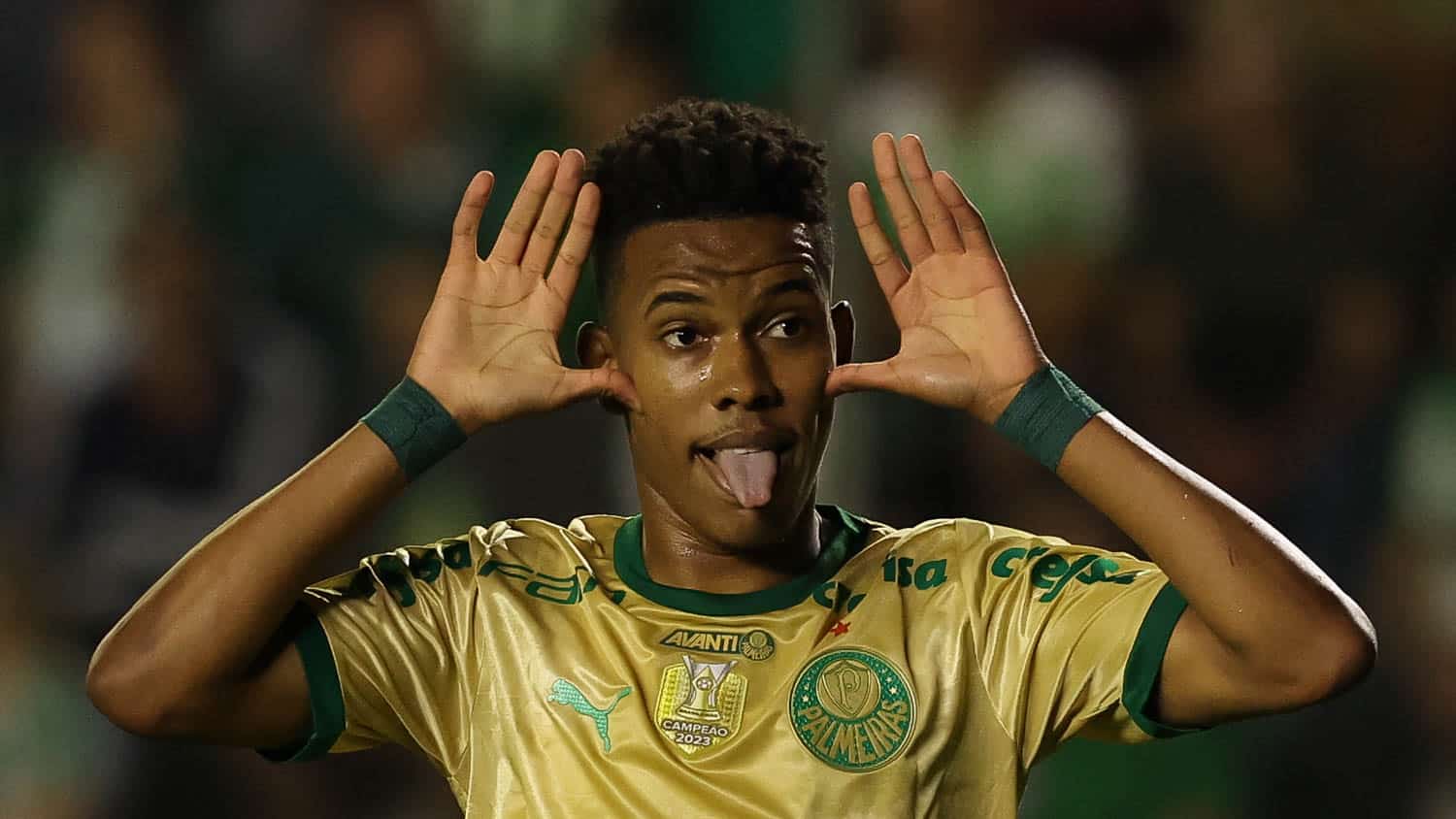 Est&ecirc;v&atilde;o supera Neymar, Veiga d&aacute; show e Palmeiras encosta no l&iacute;der Botafogo
