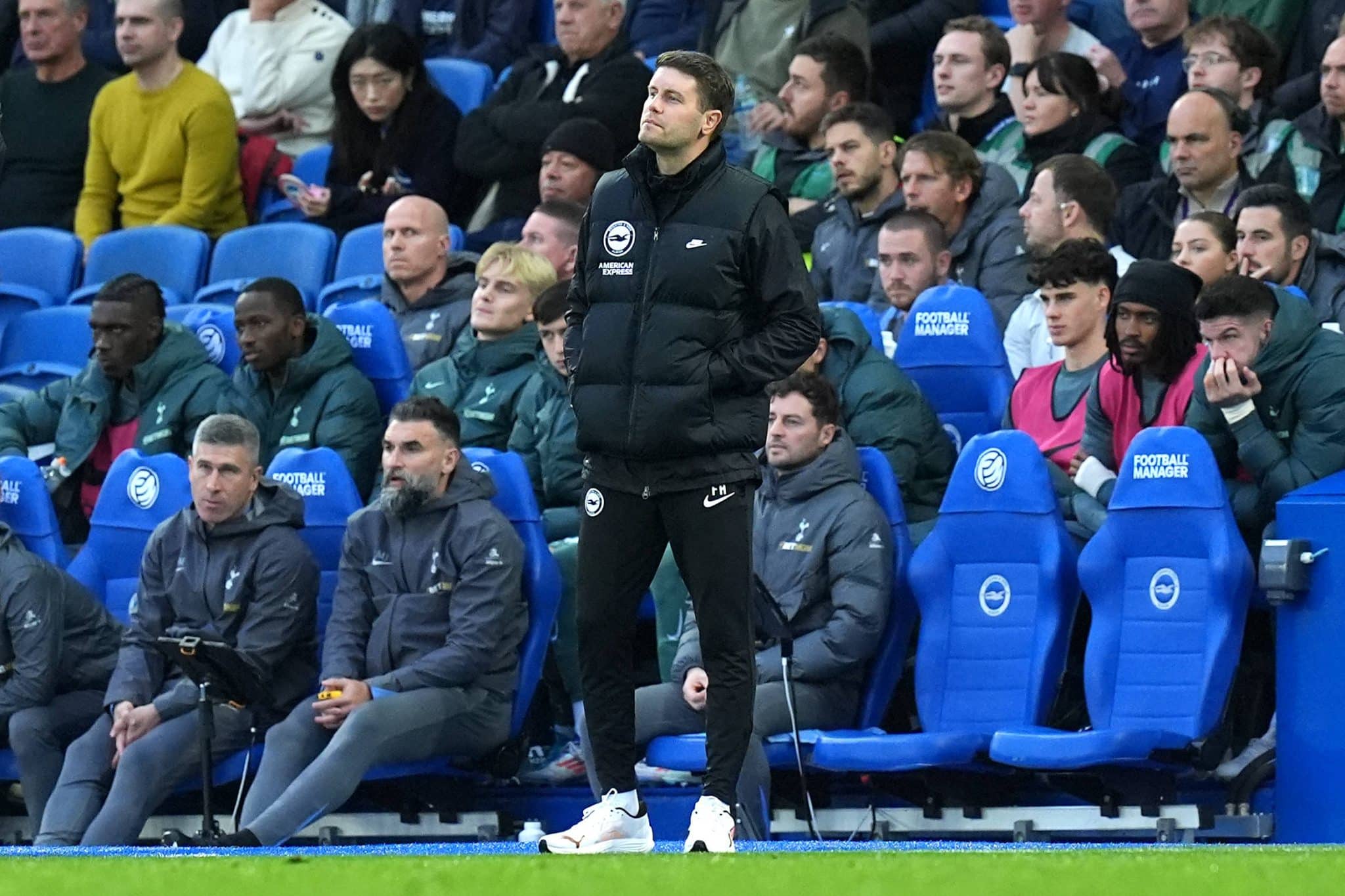 Fabian Hurzeler treinador do Brighton, em duelo contra o Tottenham
