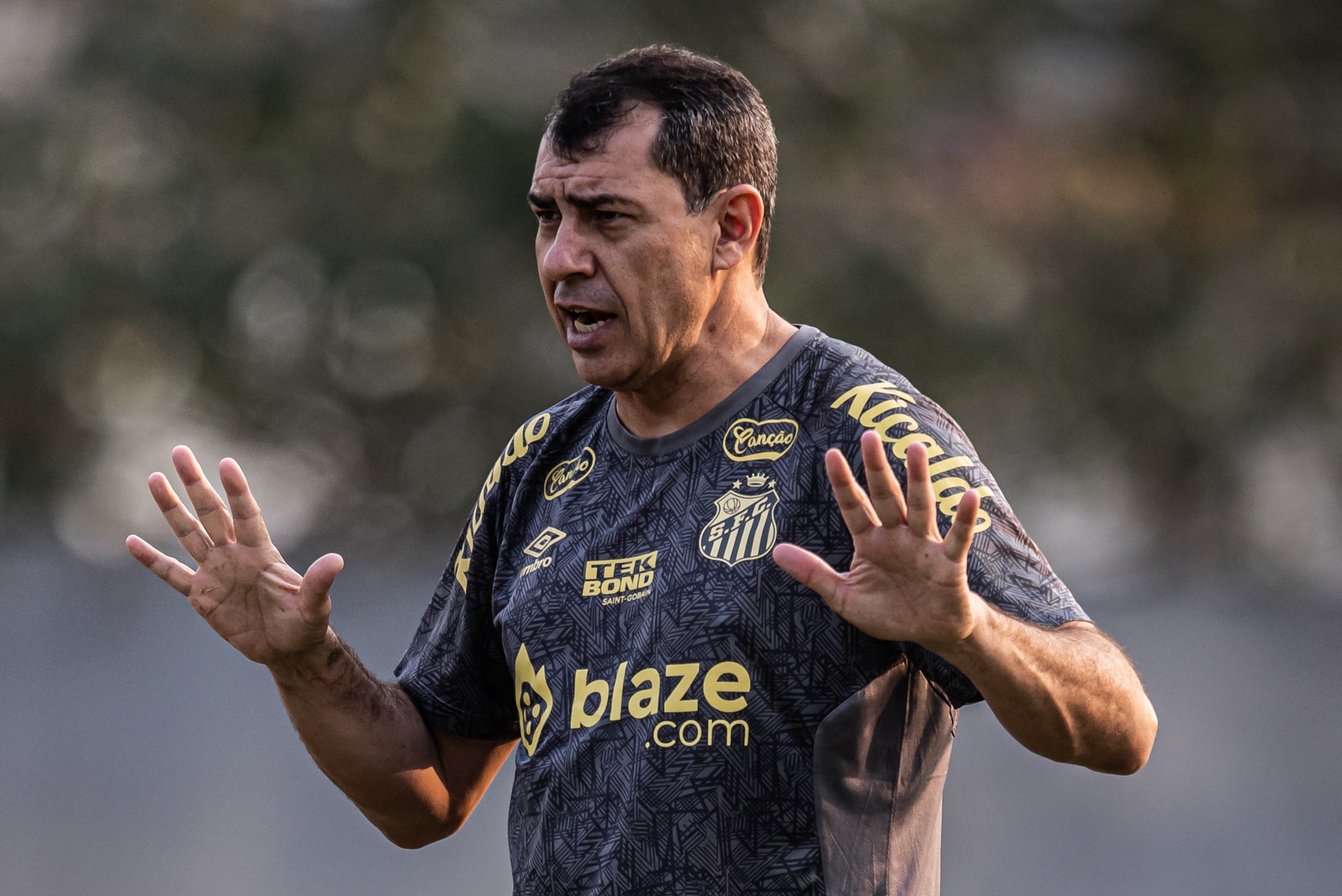 Santos de Carille termina a S&eacute;rie B como o &lsquo;pior&rsquo; campe&atilde;o da hist&oacute;ria da competi&ccedil;&atilde;o