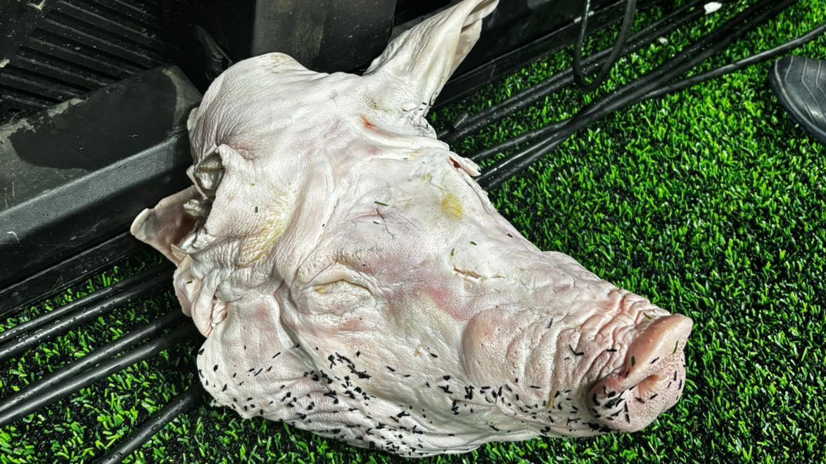 Cabe&ccedil;a de Porco Palmeiras Corinthians