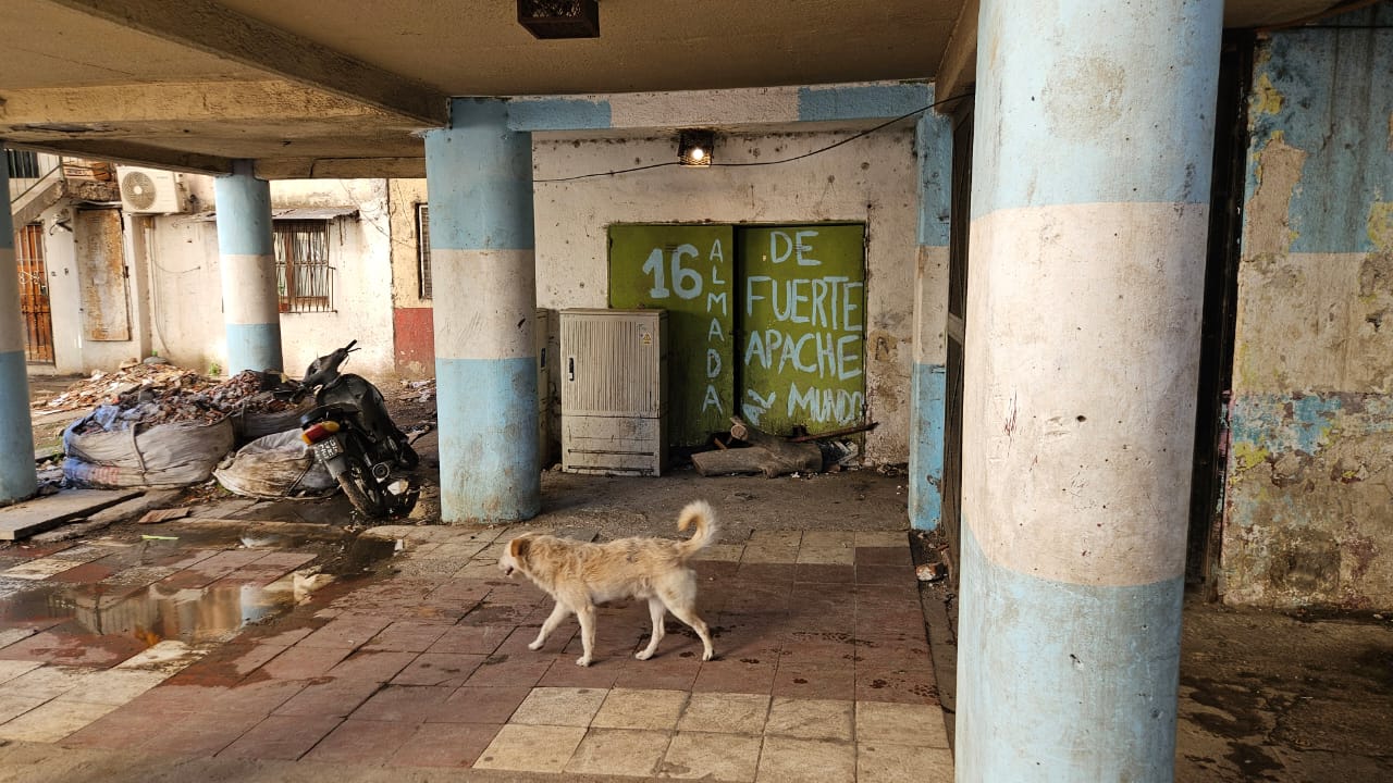 Almada virou refer&ecirc;ncia para o Fuerte Apache (Foto: Gabriel Rodrigues/Trivela)