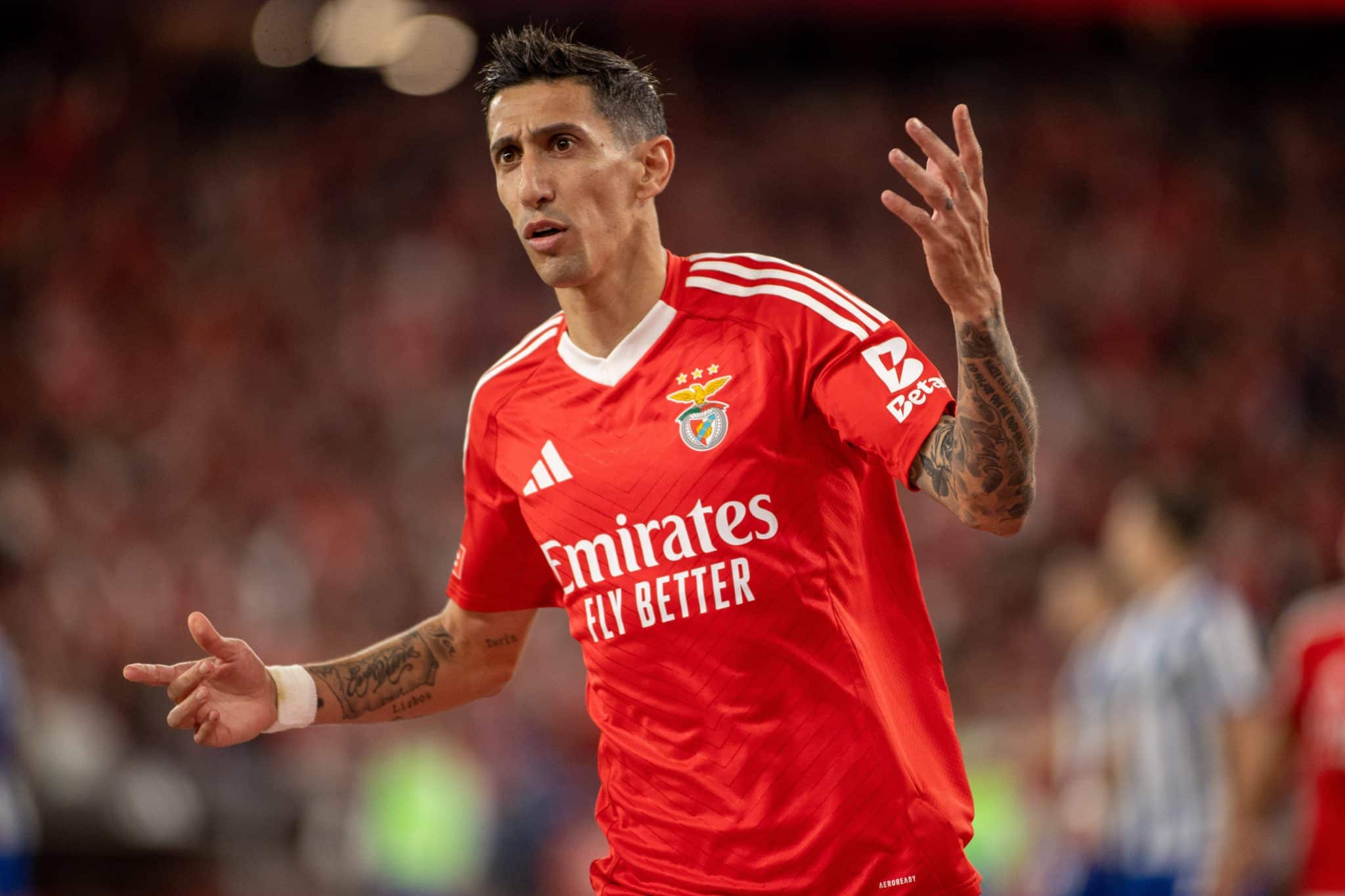 &Aacute;ngel Di Mar&iacute;a comemora gol pelo Benfica