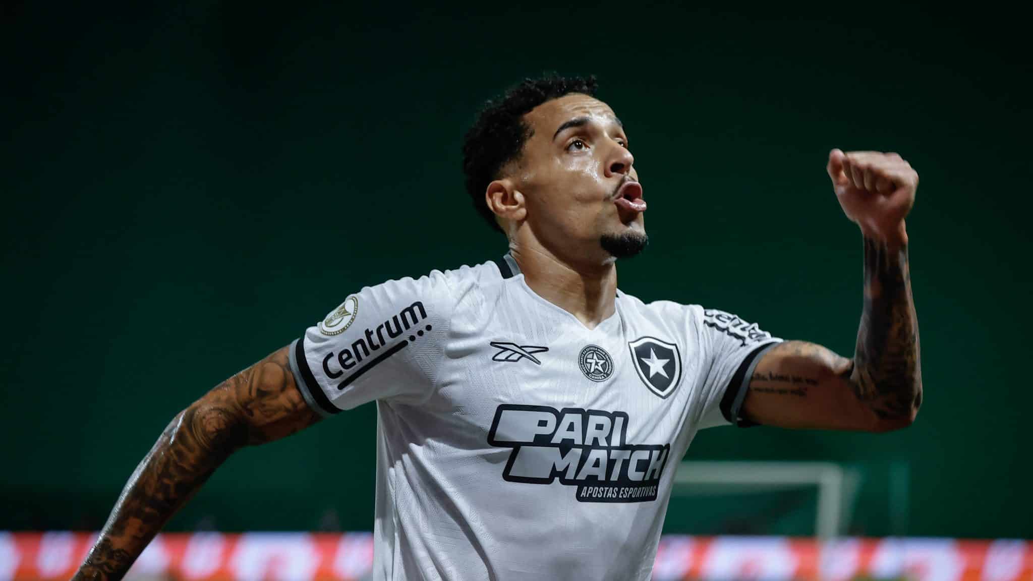 Botafogo afasta fantasmas e mostra que est&aacute; pronto para buscar o t&iacute;tulo do Brasileiro