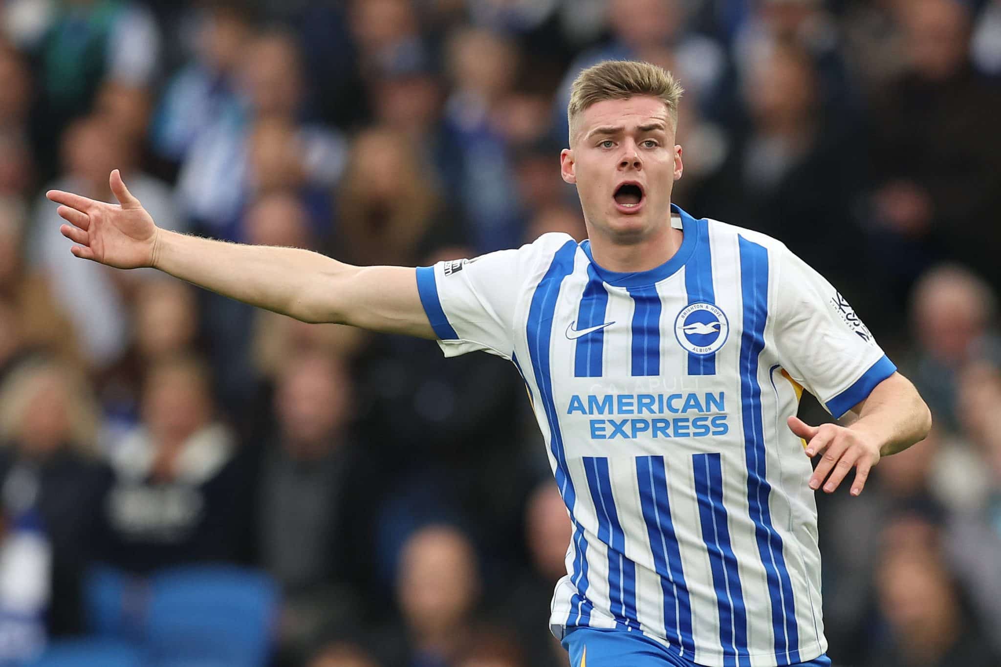 Evan Ferguson em a&ccedil;&atilde;o pelo Brighton 
