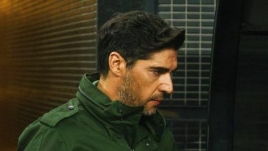 Palmeiras chega a veredicto sobre time e comiss&atilde;o em prov&aacute;vel pior temporada de Abel