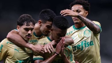 Est&ecirc;v&atilde;o mant&eacute;m Palmeiras vivo e merece conquistar o Brasileiro &ndash; os demais, nem tanto