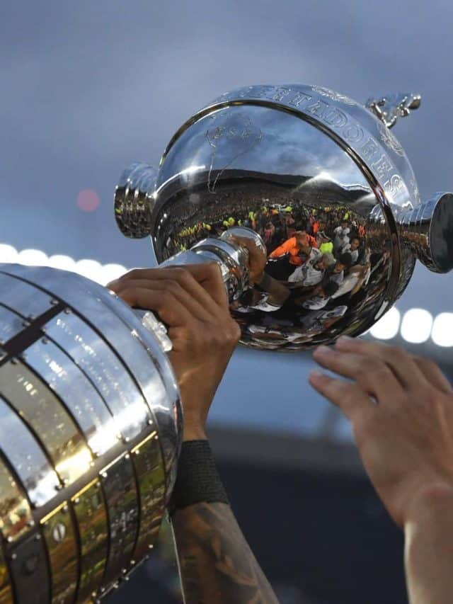 Atletico Mineiro v Botafogo: Final - Copa CONMEBOL Libertadores 2024